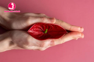 Tanaman Herbal yang Wajib Diketahui Wanita untuk Kesehatan Optimal